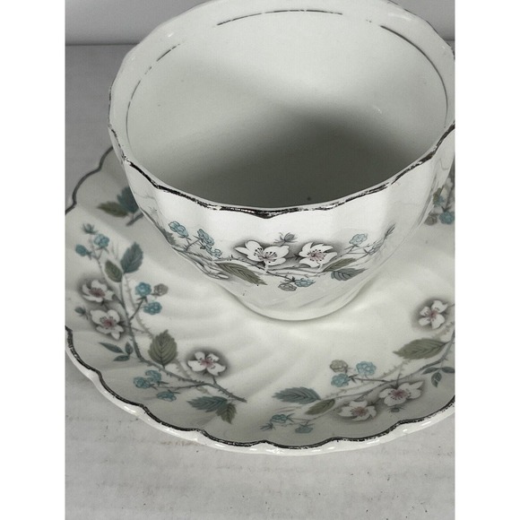 Antique Johnson Bros Tea Cup & Saucer Floral, Blackberries, Raspberries, Regency - Picture 4 of 6